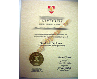 International Australia Fake Diploma With Gold Foil Embossed Seal